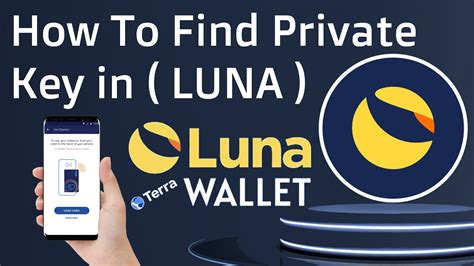 terra station multiple wallets|luna 2.0 terra station.